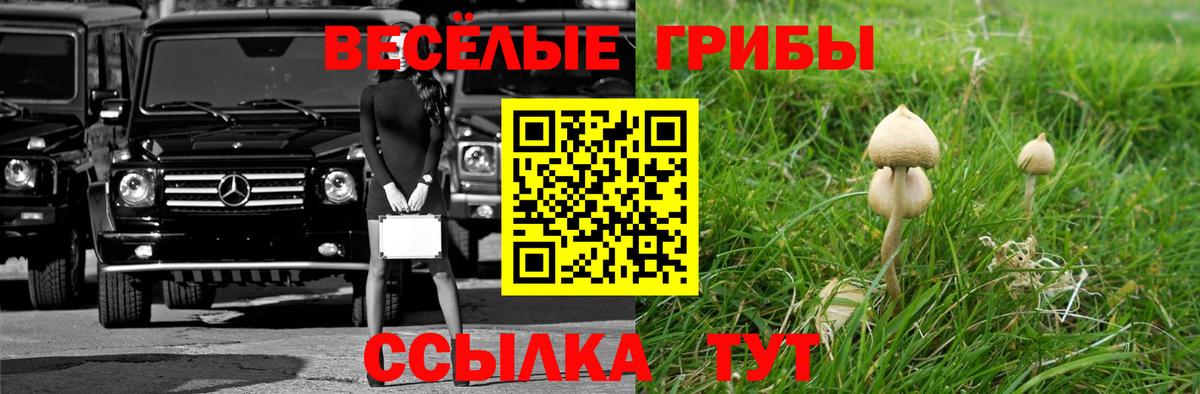 Галлюциногенные грибы Psilocybine cubensis Орехово-Зуево